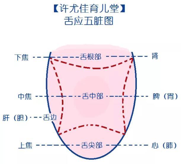 我们的那些年|宝宝舌头尖尖是肝气郁结表现，2碗汤告别“小鸟舌”