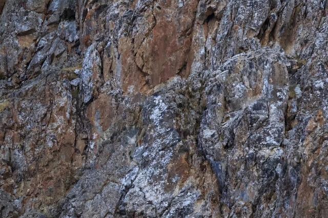 雪豹也上云，这是腾讯云小微AI知识图谱平台的小场景大应用