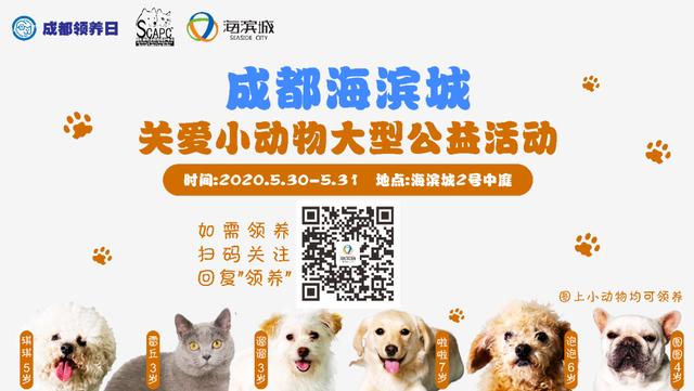 你的育儿经|六一带娃攻略!成都15场亲子活动赶紧收藏