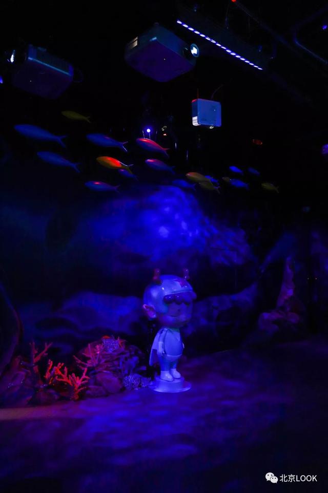 「玩乐足迹」北京首家室内动物园 · 和羊驼浣熊一起玩