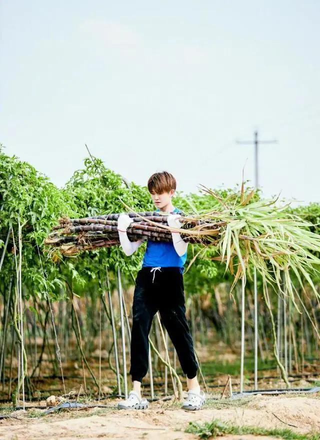 《向往的生活》越来越不是那个味儿了|电影工厂