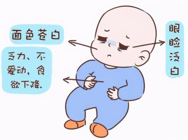 贫血是什么原因导致的？为什么女性容易贫血？医生为您总结三点