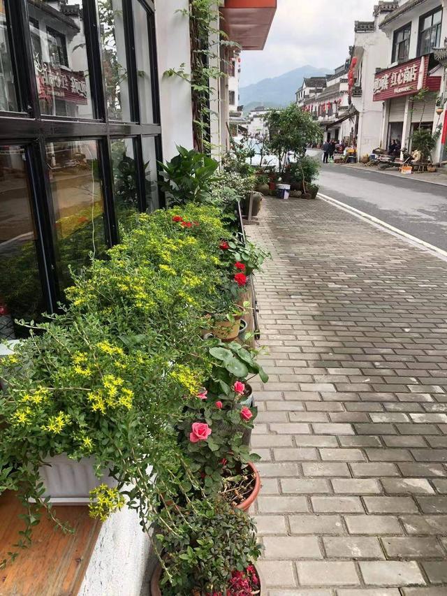 领克|一路趣野：在臭鳜鱼的家乡，嗅到生活的芬芳