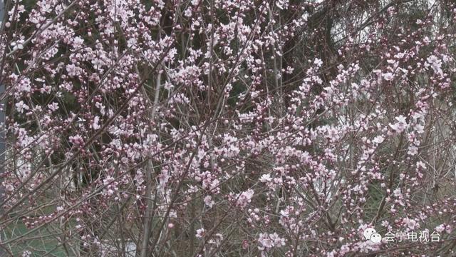 约吗旅行▲红军会宁会师旧址:3月底恢复对外开放 游客须实名制参观