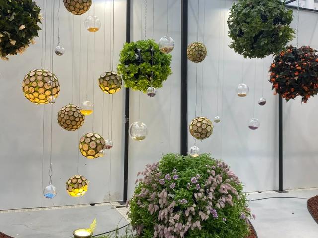 花艺|上新啦！花艺馆