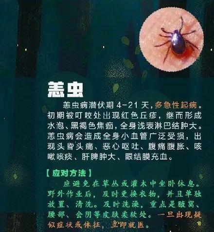 [光明网]高烧不退，严重可致命！青岛又有孩子中招！这个“小黑点”千万别大意