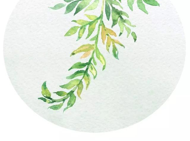 纪夏浮梦|成长 | 我家有个“育儿专家”