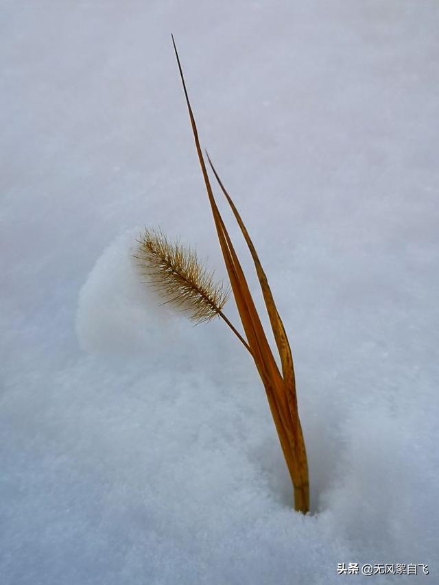 亲爱的，你那里下雪了吗？