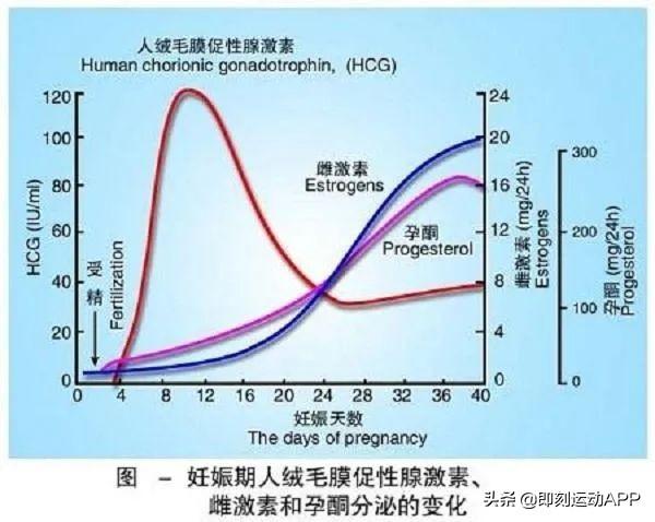 「超级宝妈」怀孕时能继续运动吗？怎样的运动才算好？