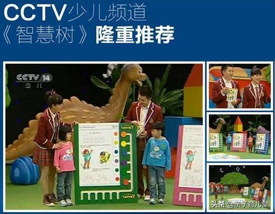 「你的育儿经」孩子逻辑思维能力有多重要？看梅婷、曹颖、黄圣依的孩子就明白了
