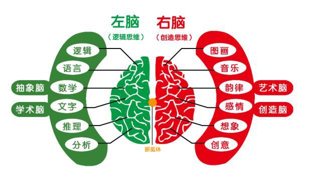 斯坦福大学发现：这个血型的妈妈，生出的娃智商更胜一筹