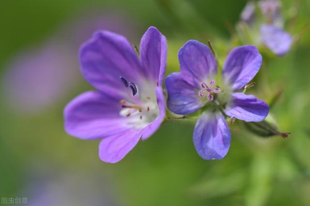 58岁女人坦言：做到这几点，就能避免更年期的不良反应