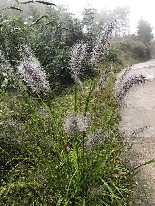 自我疗愈：妈妈去世之后，我就这样一天一天地走出悲伤和内疚