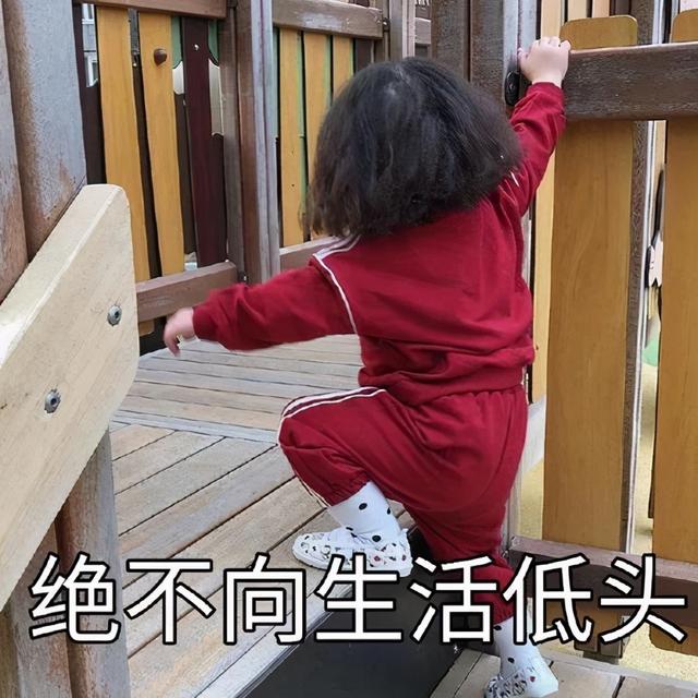 干货分享！深入剖析与腰痛相关的7块肌肉