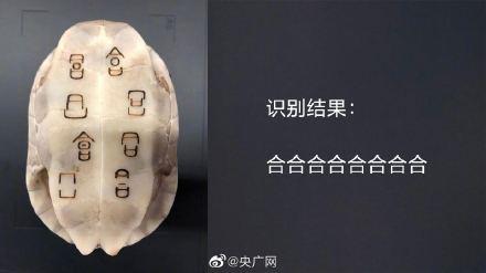 识别|AI竟然可以识别甲骨文