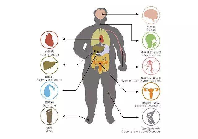 世界权威杂志：糖尿病患者越来越多，全球或将面临胰岛素危机