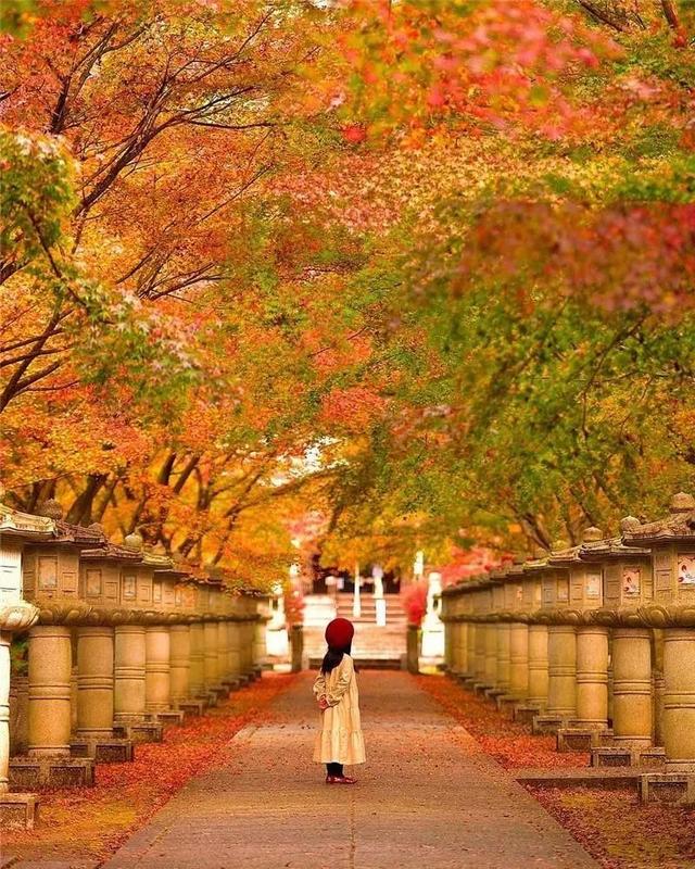 把这10个气质传给孩子，胜过10栋房子