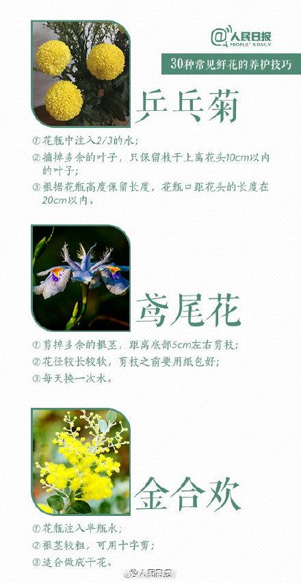 根部|30种入门级鲜花养护技巧