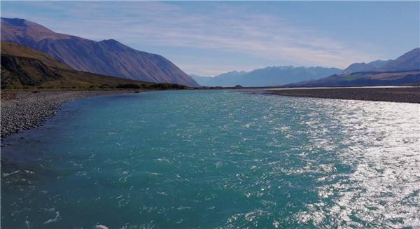 产品|a2牛奶公司联手中垦上海 2020年下半年起对每批进口奶粉进行核酸检测