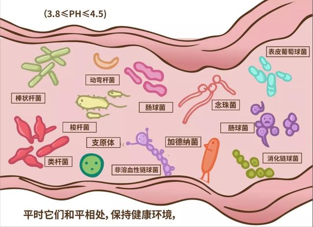 阴道炎是“脏病”？洗洗会更健康？多少女性被广告误导了