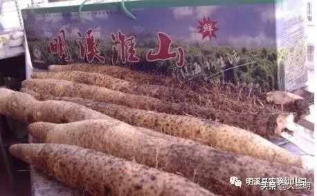 「你的育儿经」「马上就办 真抓实干」明溪县实验幼儿园亲子在线学（五）