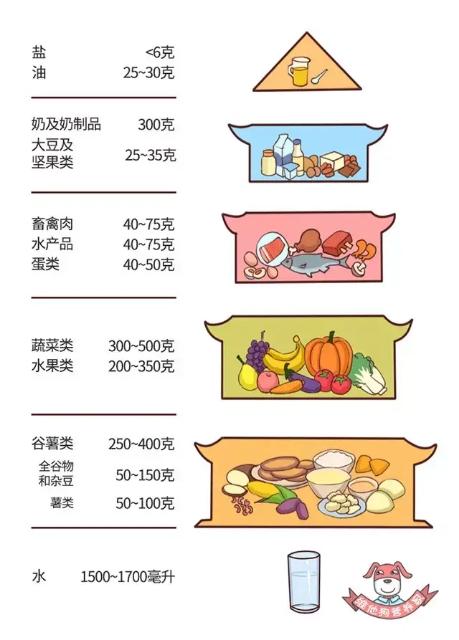 「你的育儿经」疫情期间，宝宝应该怎么吃？幼儿园园长来支招