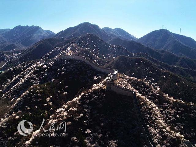 大洋网:长城内外 春暖花开