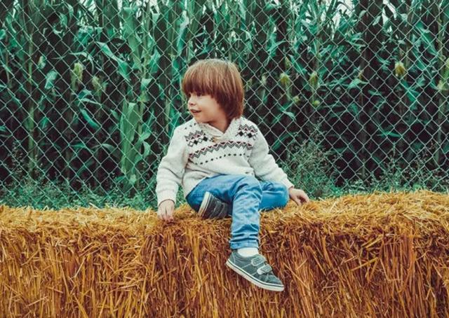 超级宝妈@养育男孩，家长要了解这6个关键问题，将来儿子才会“出类拔萃”