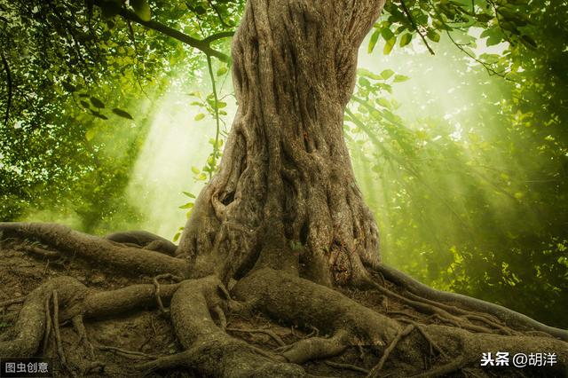 肿瘤|癌症手术做到这三点才有可能完全根治，手术做的好坏在于细节处理