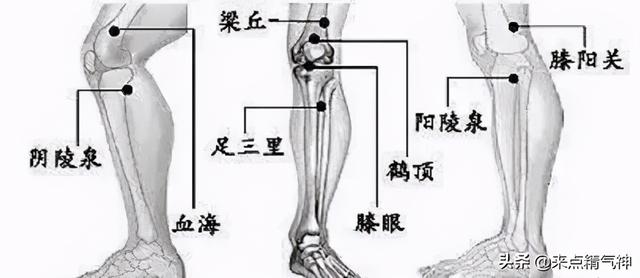 不同寒症分别养（一）关节冷痛风寒湿，保暖已无效！奇穴应对