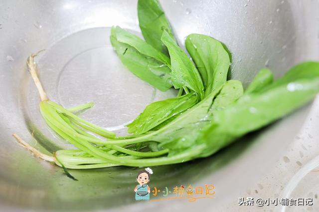 你的育儿经：六个月给娃加辅食你给孩子吃肉了吗？菠菜鸡肉泥