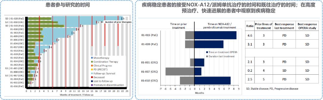 2020胰腺癌年度热点回顾