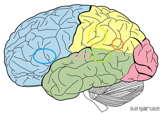 无人机大战，炸死了人，谁赔偿？人类是一个载体，智人即将消亡？