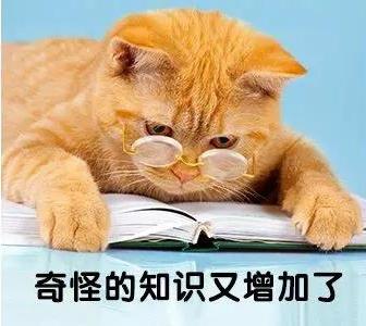 你的育儿经：美赞臣育儿新概念：这3句话挂在嘴边，哄孩子会变成毁孩子！