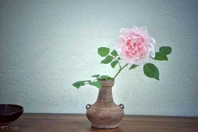 天冷就养“造香花”，香喷喷，省下买空气净化剂的钱