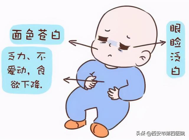 #全民素养提升v计划#【世界早产日】早产儿贫血，你了解吗？