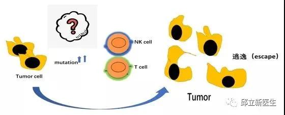 肿瘤医生揭秘：不懂免疫治疗的原理？先看肿瘤与免疫系统的关系