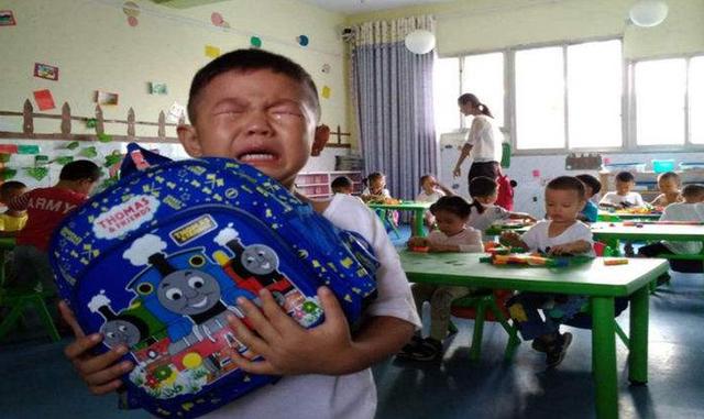 超级宝妈|幼儿园到底有没有必要上？“鲶鱼效应”很关键，父母必须权衡利弊