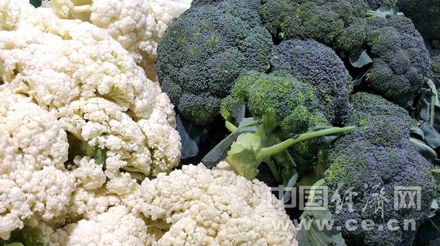 饮食|常吃这几种地中海饮食食品有益心脏健康