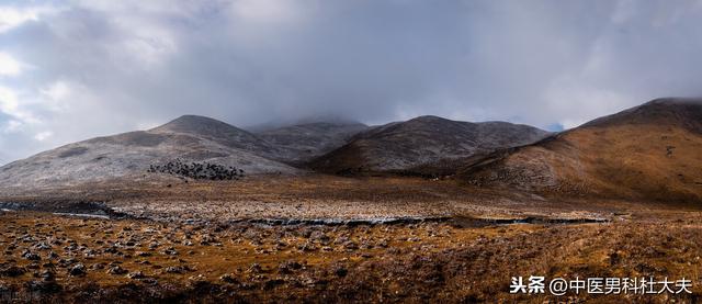 肾气不固，心肾不交，中医如何调理？