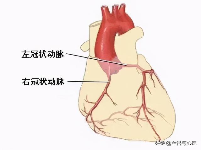 最低气温已跌至0°，又到了冠心病高发的时节，预防从这5点做起