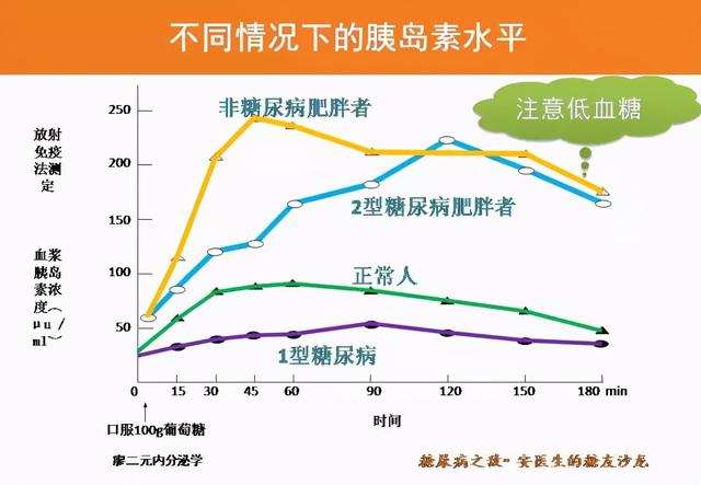 一口糖水，三项检查~之“胰岛素释放试验”知多少