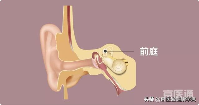 起床晕、走路晕、抬头晕…原因你一定想不到