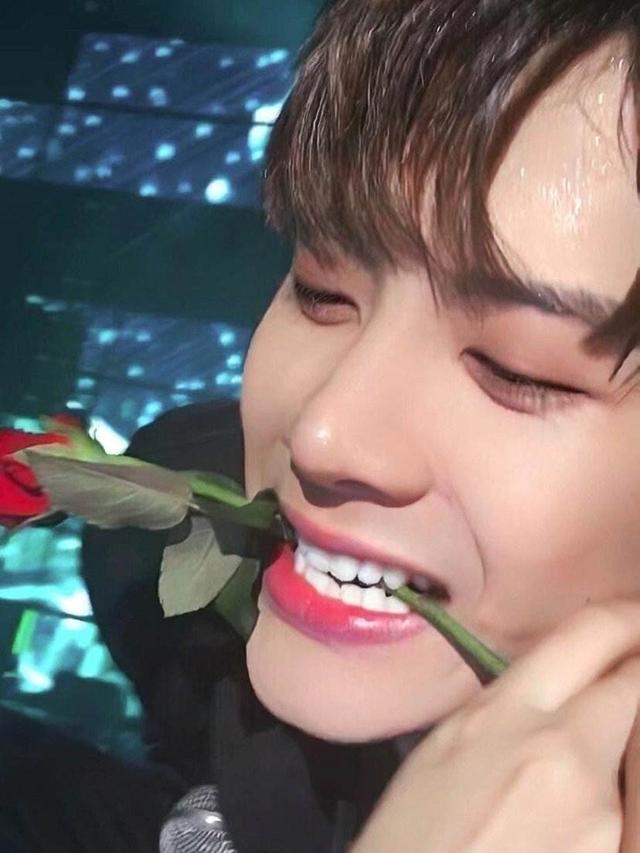 泰迪小公举|街舞3导师集结，王一博王嘉尔张艺兴同台，导演你需要韩语翻译！