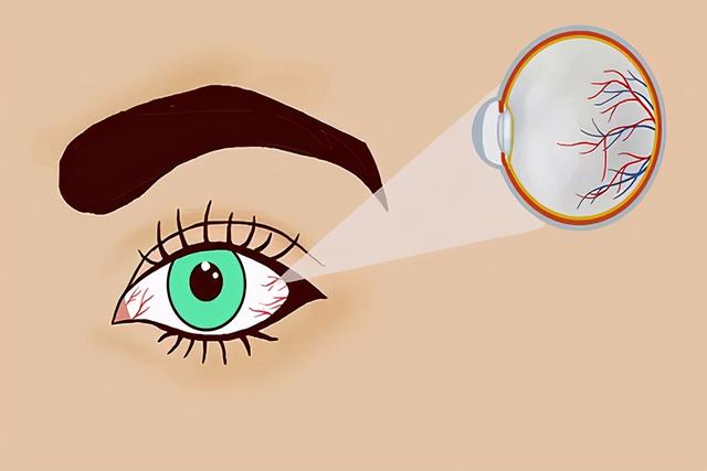 熬夜后补觉能补回来？经常熬夜究竟对身体有何影响？