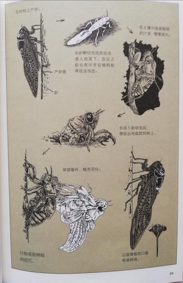 超级宝妈@开启孩子丰富的感官，捕捉世间无处不在的趣味