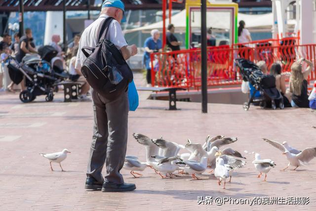怼人一时爽，一直怼人一直爽，悉尼街头怼人街拍