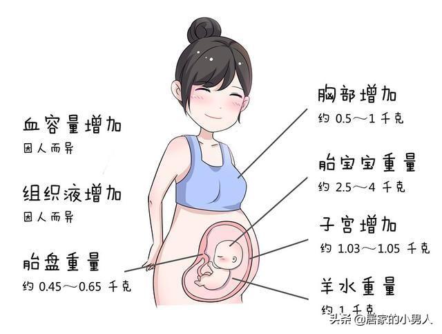 你的育儿经：终于放心了，原来孕期增加的体重长在了这些地方