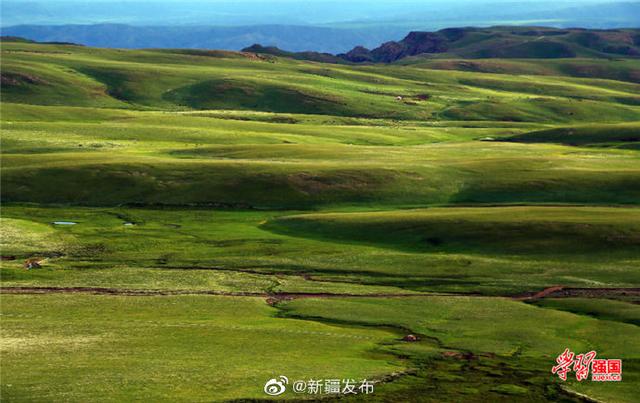 光明网：“云上草原”孟布拉克