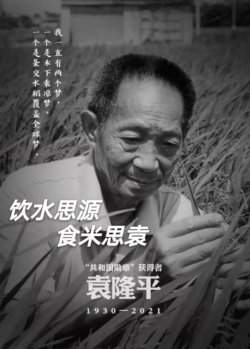 袁隆平写给母亲的信：稻子熟了，妈妈，我来看您了